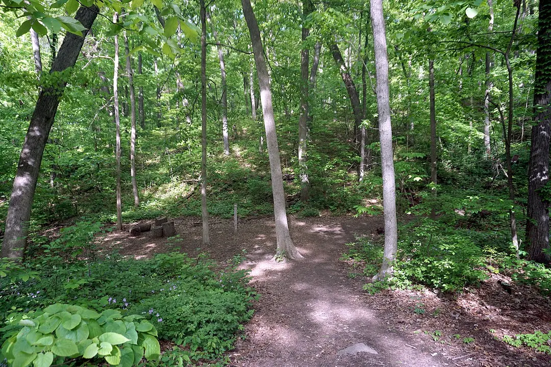 Bird Hills Nature Area