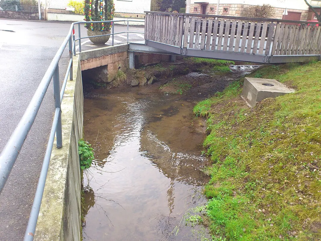 Rohrbach