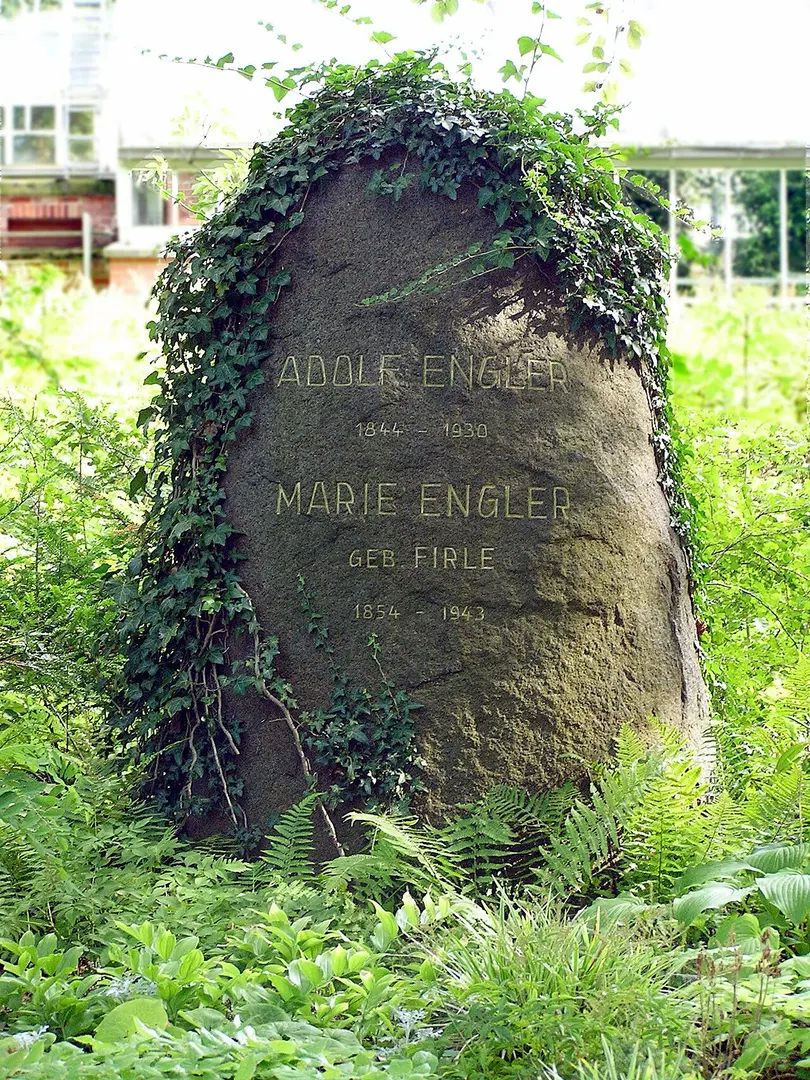 Botanischer Garten