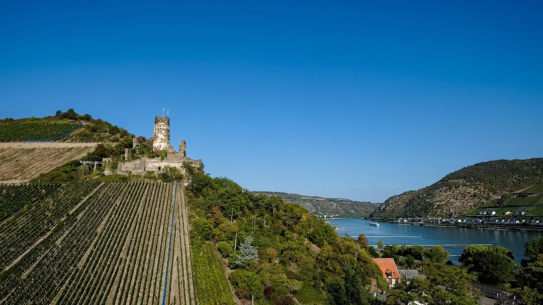 Burg Fürstenberg