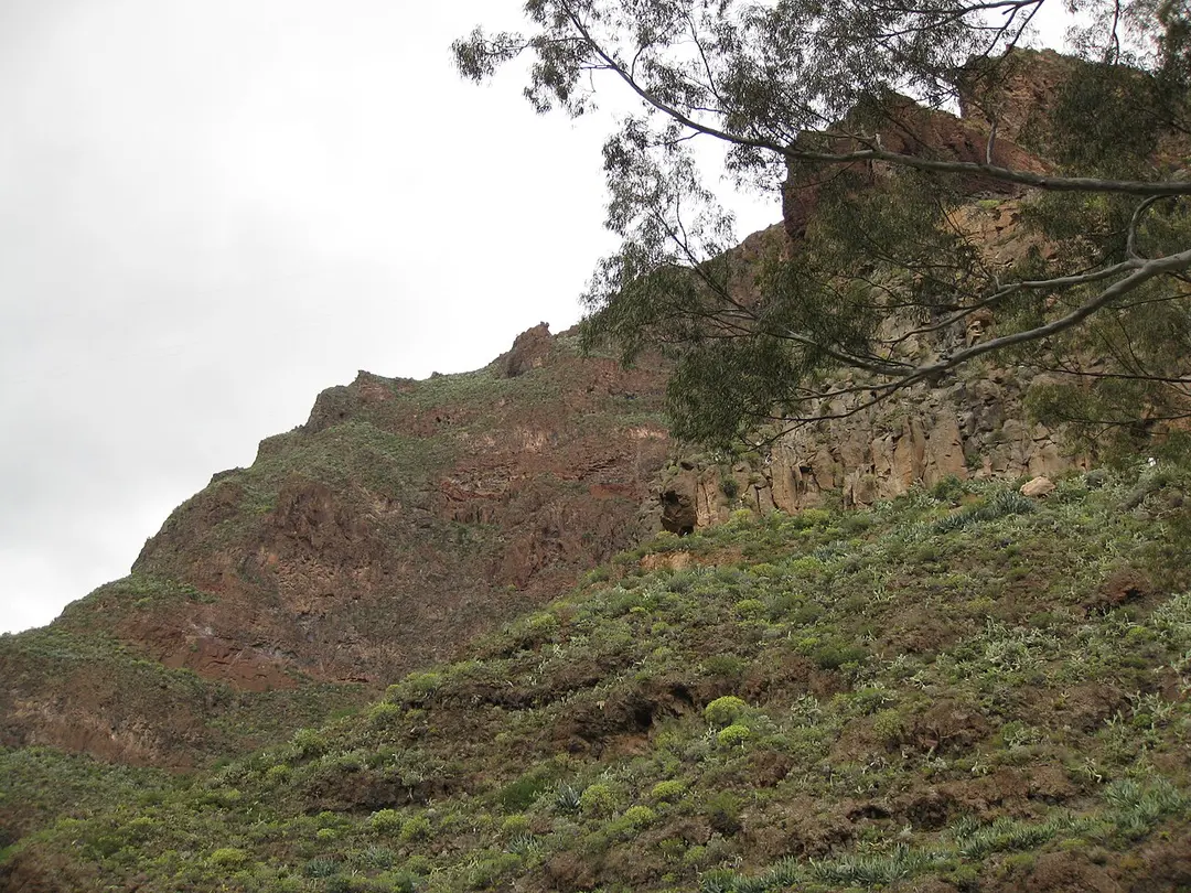 Barranco de Guayadeque