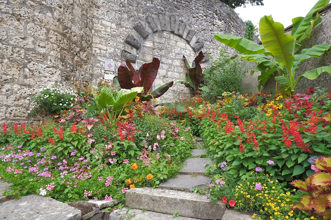 Museum Baron Martin