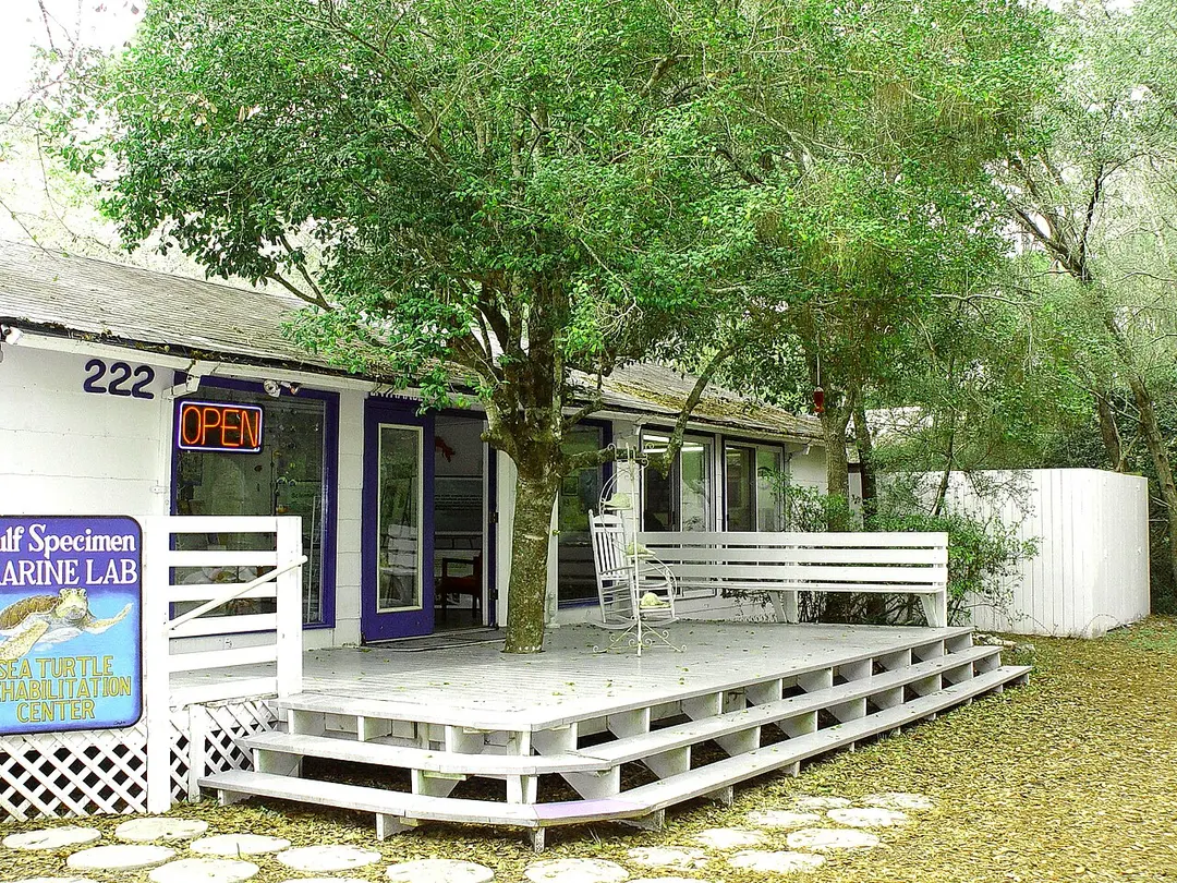 Gulf Specimen Public Aquarium