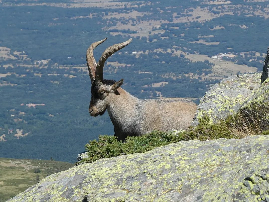 Risco de los Pájaros