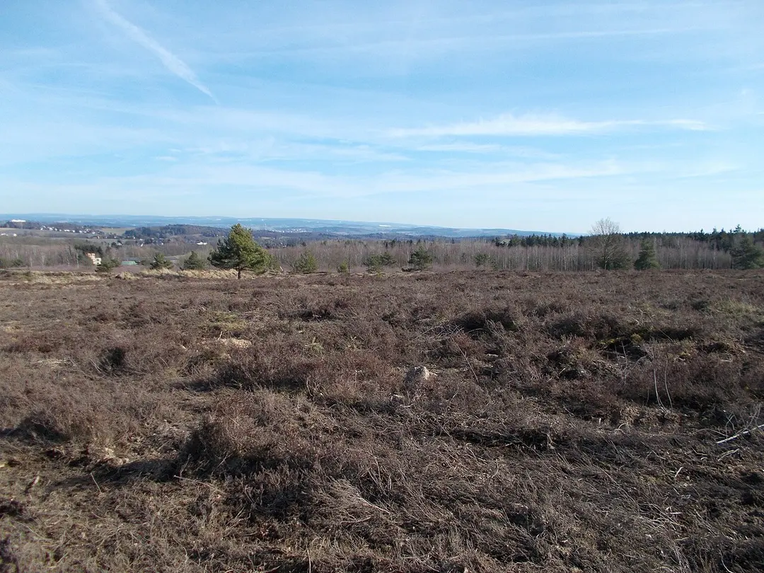 Syrau-Kauschwitzer Heide