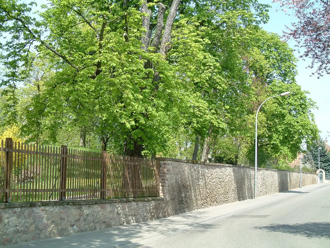 Schlosspark