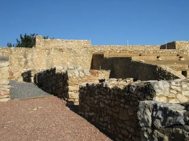 Poblat ibèric de les Toixoneres