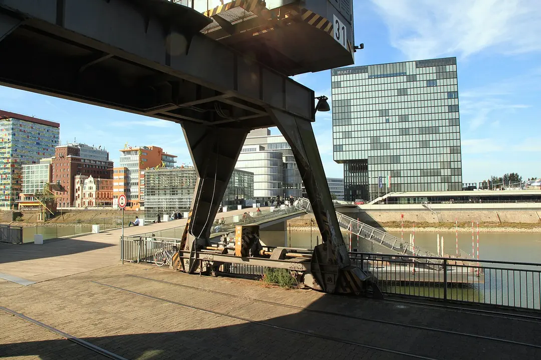 The Living Bridge