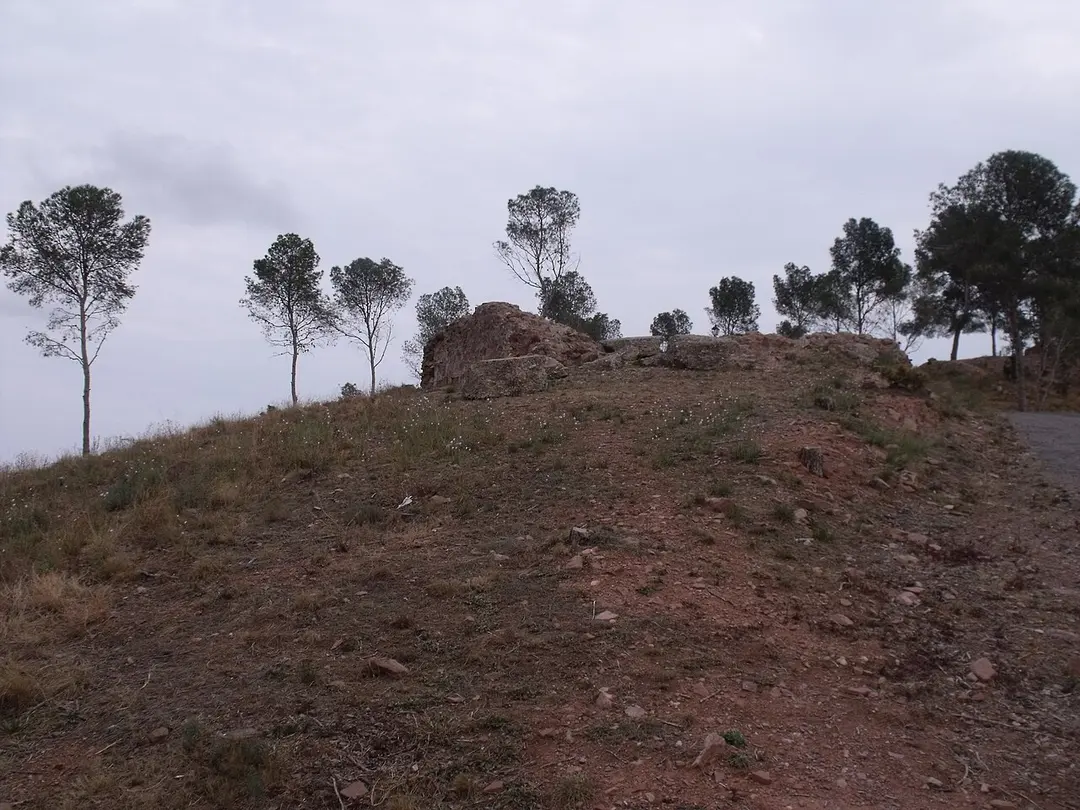 Castell del Puig