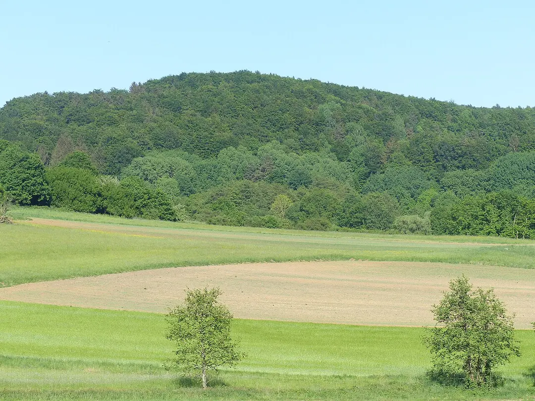 Buchenberg