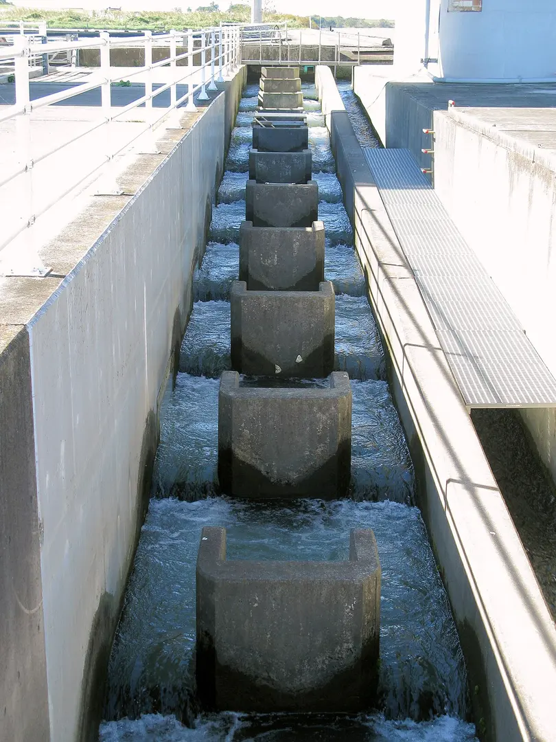 Musashi-Ōhashi Bridge