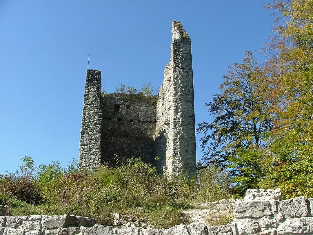 Burgruine Vilsegg