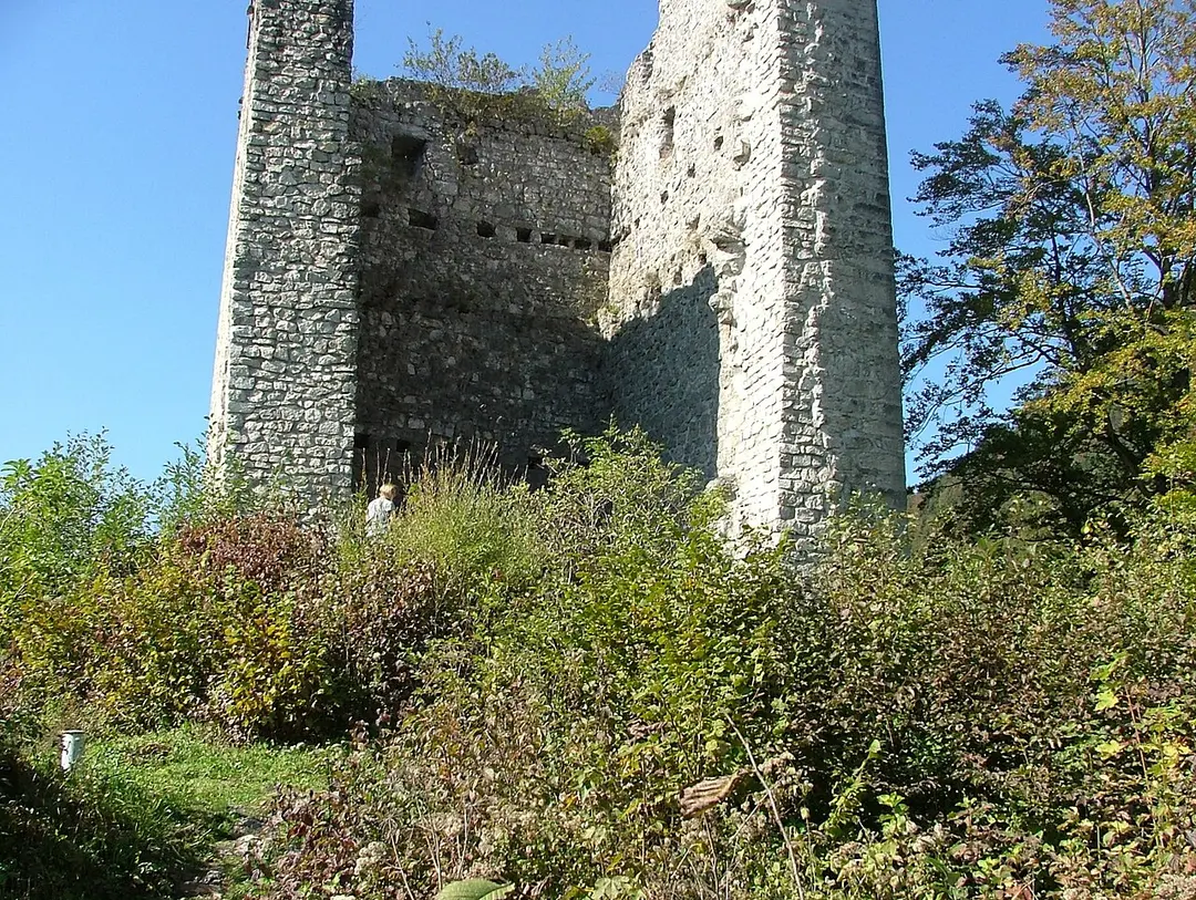 Burgruine Vilsegg