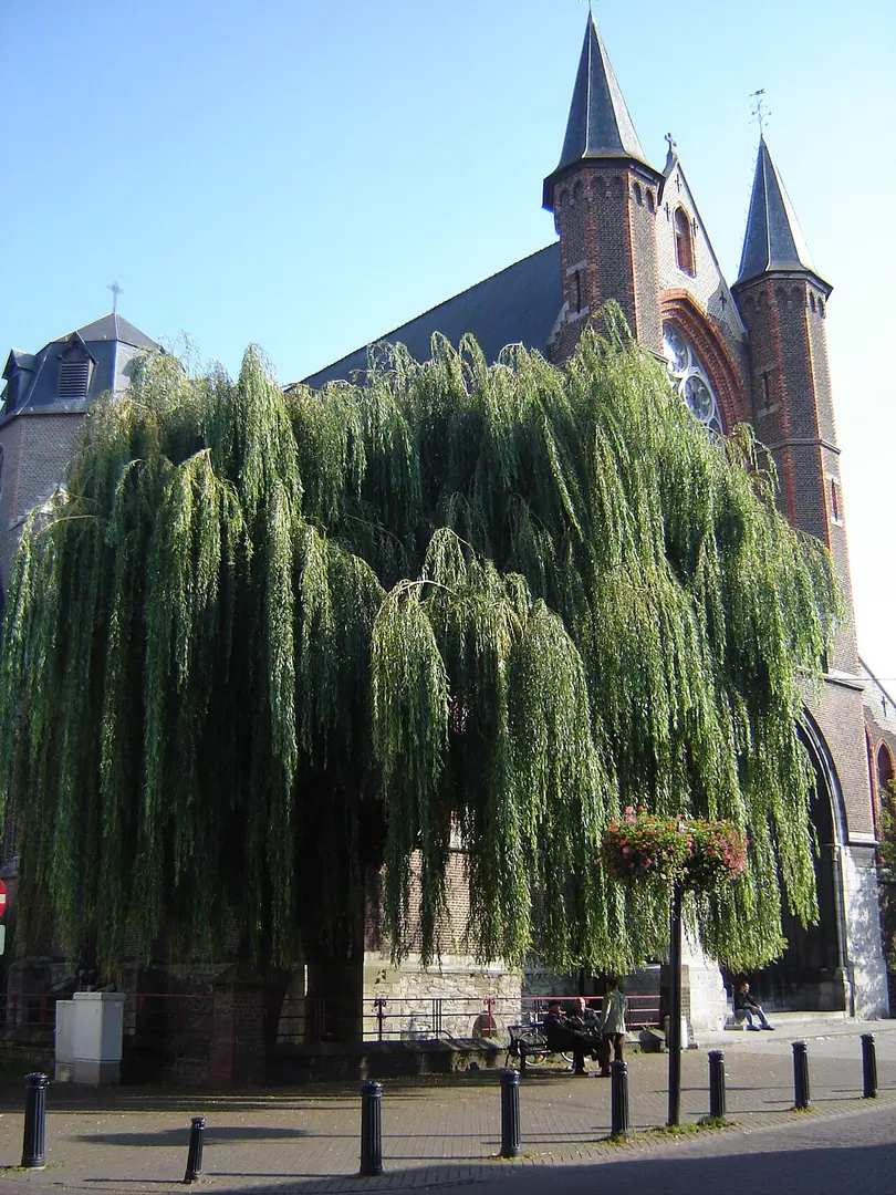 Sint-Jozefskerk