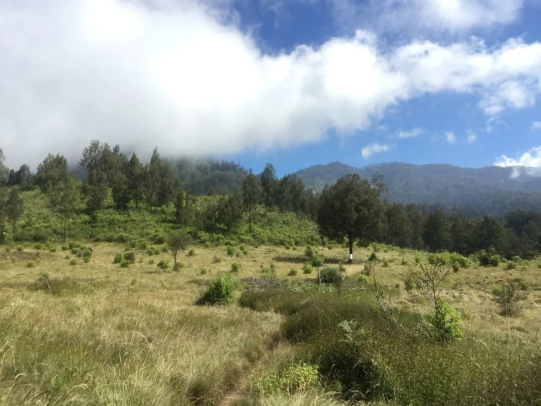 Gunung Argopuro