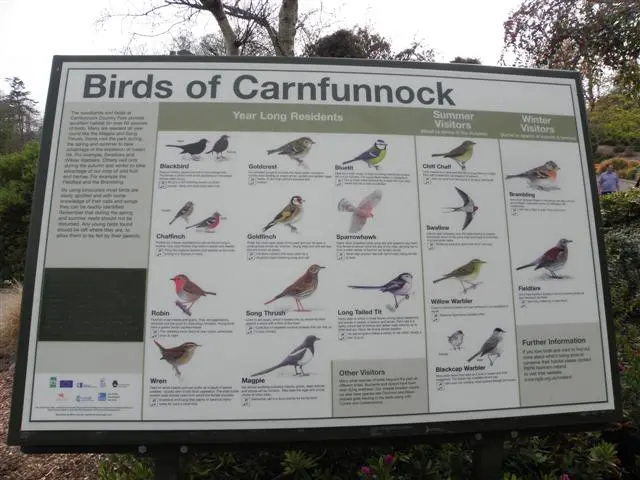 Carnfunnock Country Park