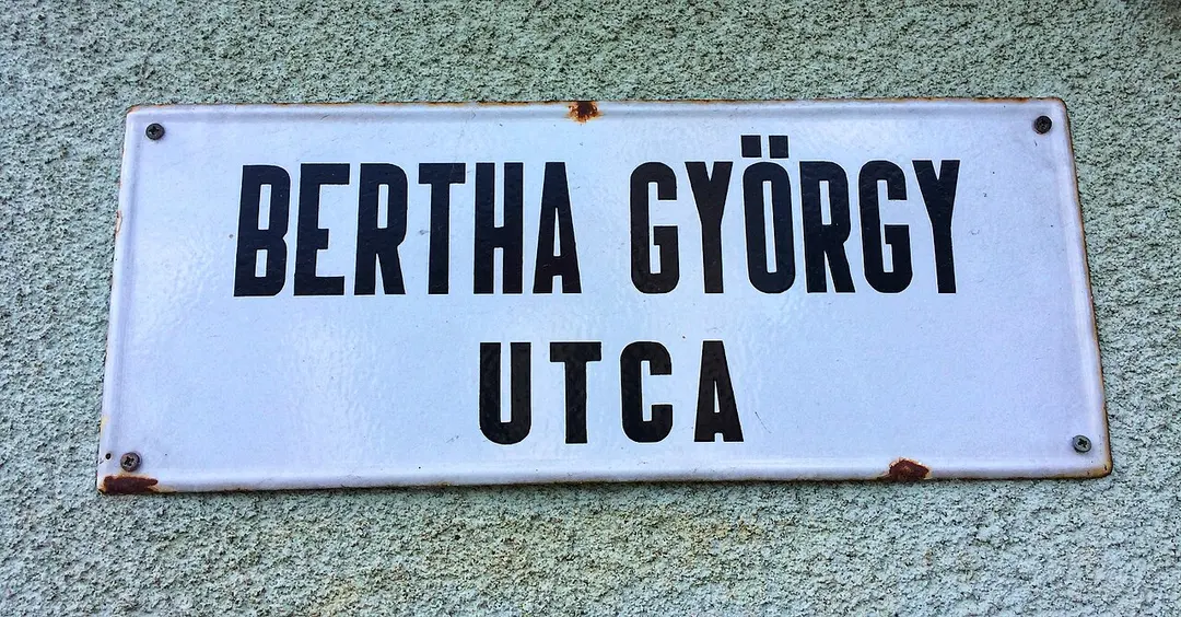 Bertha György