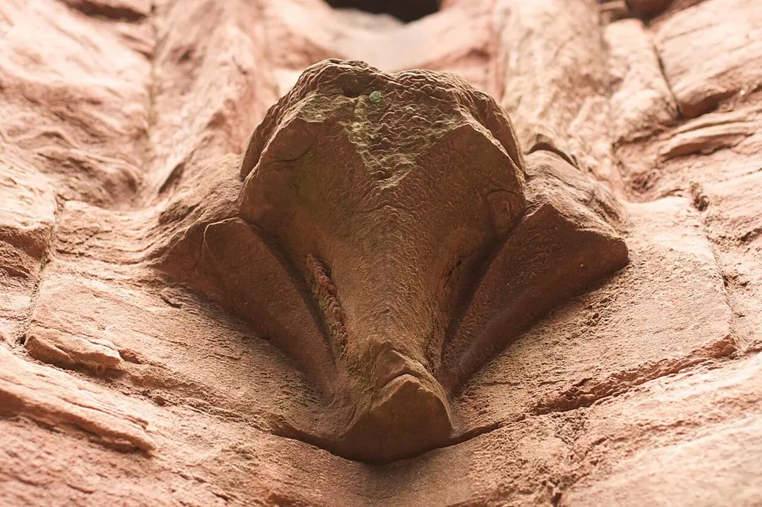 Bothwell Castle