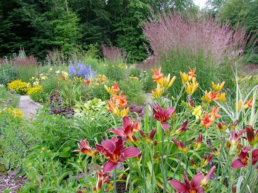 Botanischer Garten der Universität Ulm