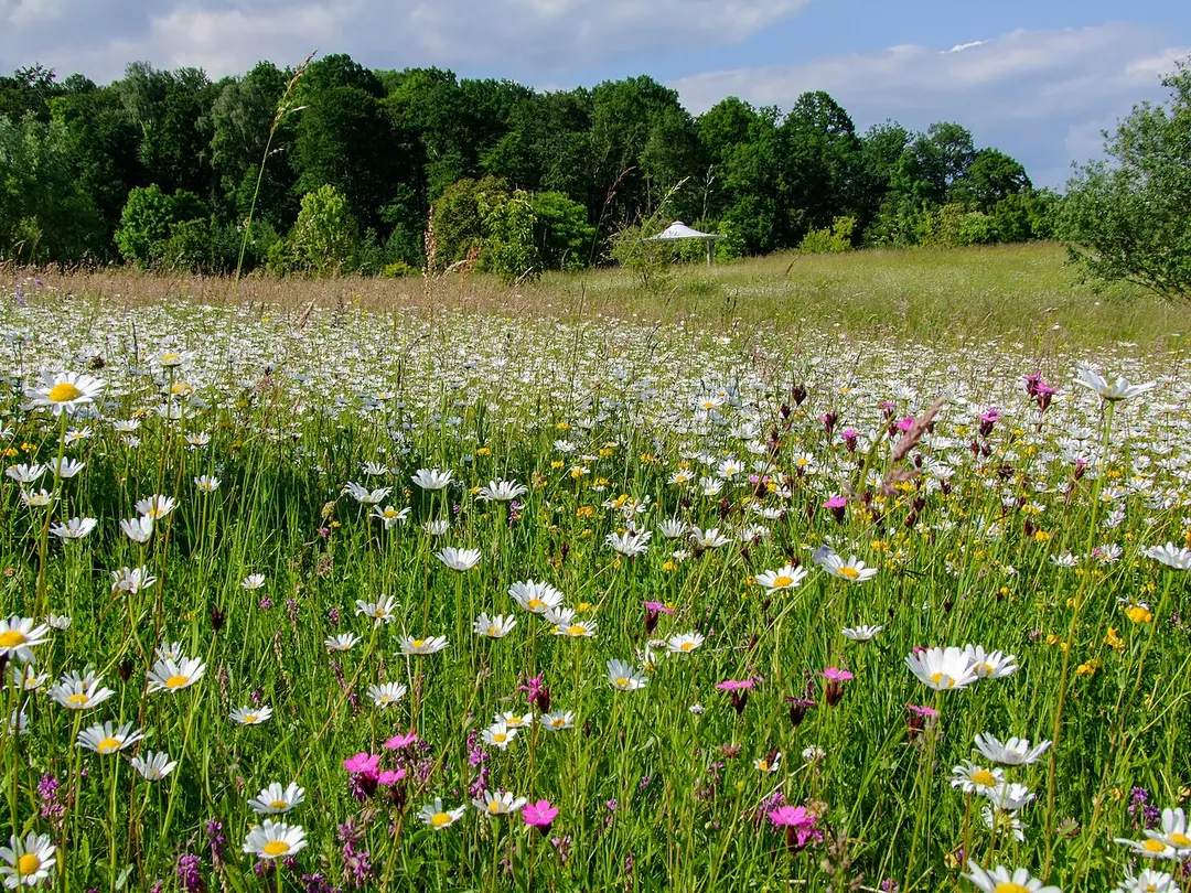 Botanischer Garten der Universität Ulm