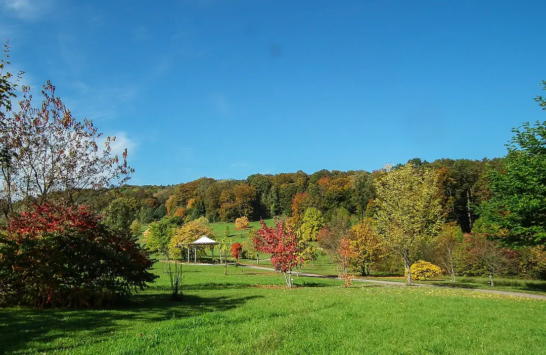 Botanischer Garten der Universität Ulm