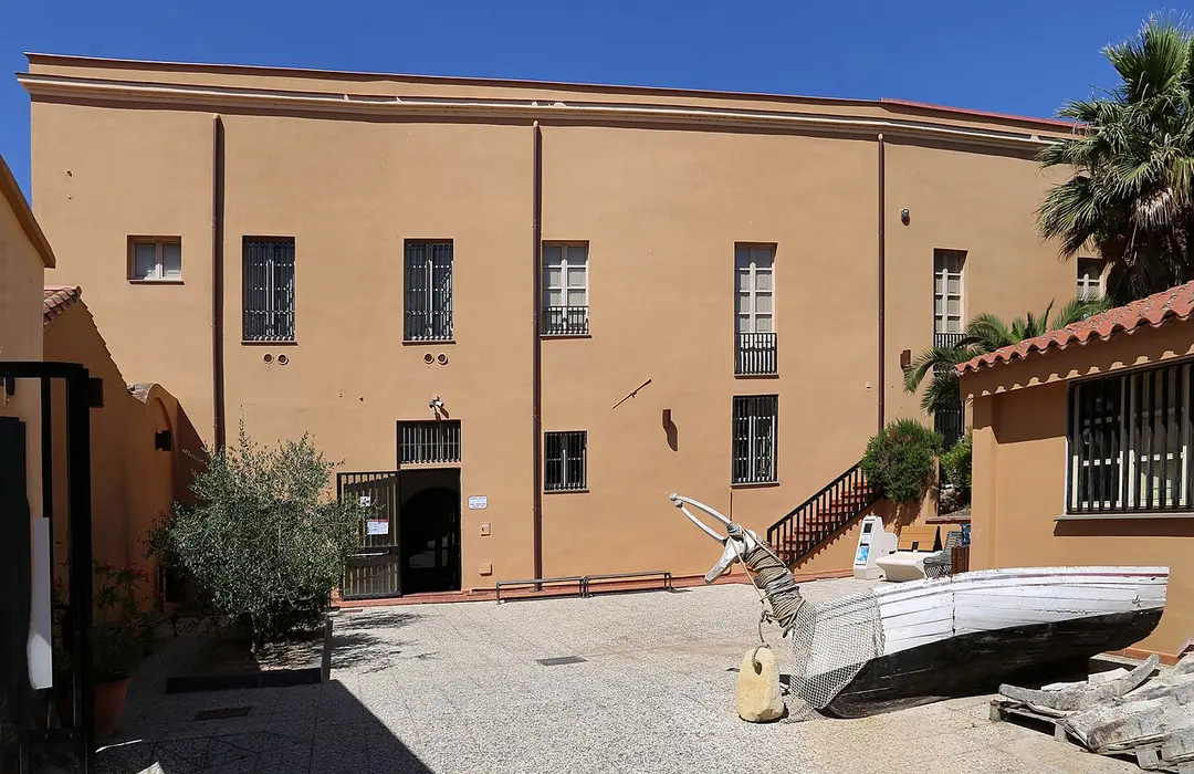 Antiquarium Arborense