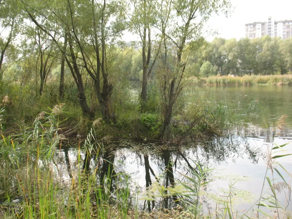 Ландшафтний заказник місцевого значення «Троєщинські луки»