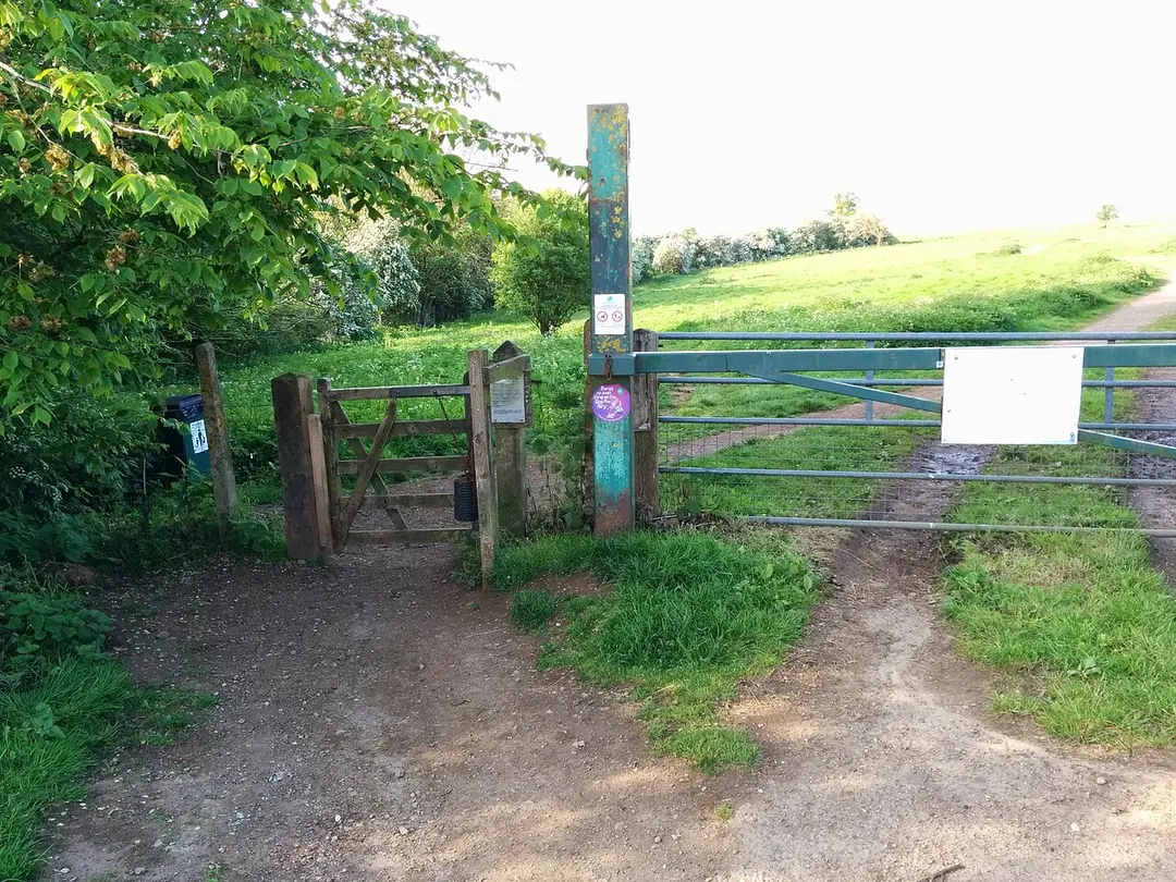 Borough Hill