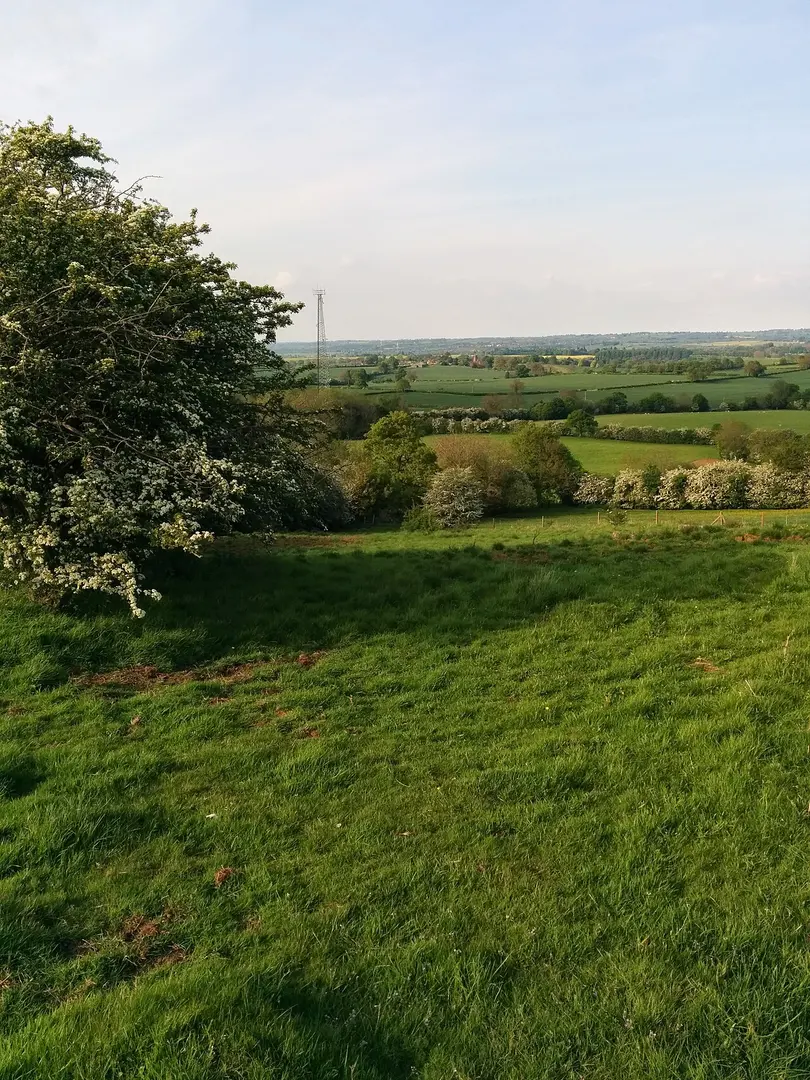 Borough Hill