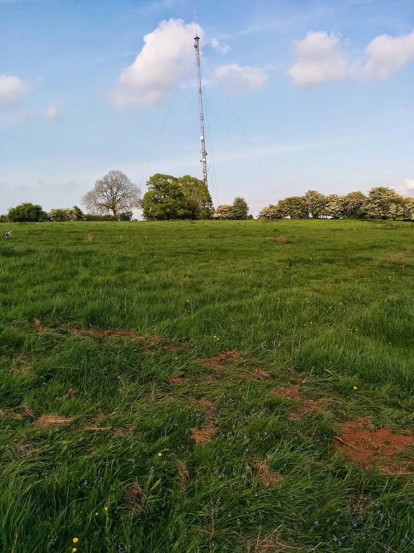 Borough Hill