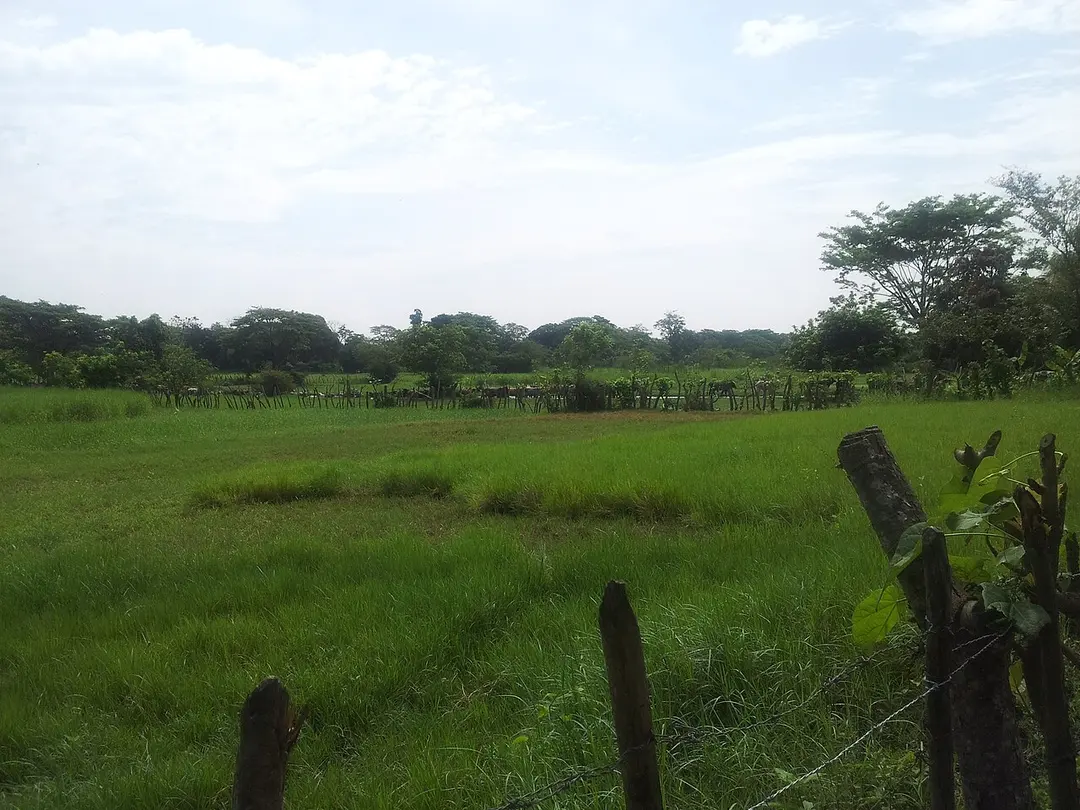 Acajutla