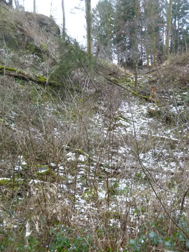 Ruine Königstein (Ecker G'schlössl)