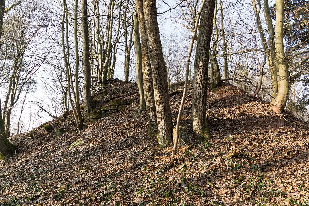 Burg Wiesbach