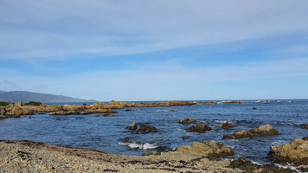 Te Raekaihau