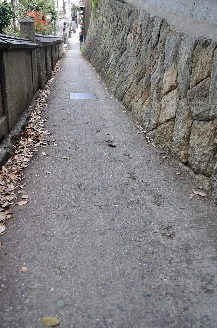 Cat Alley