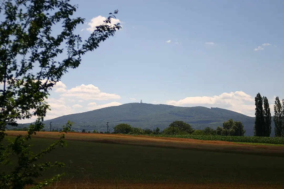 Gemeindeamt Biedermannsdorf