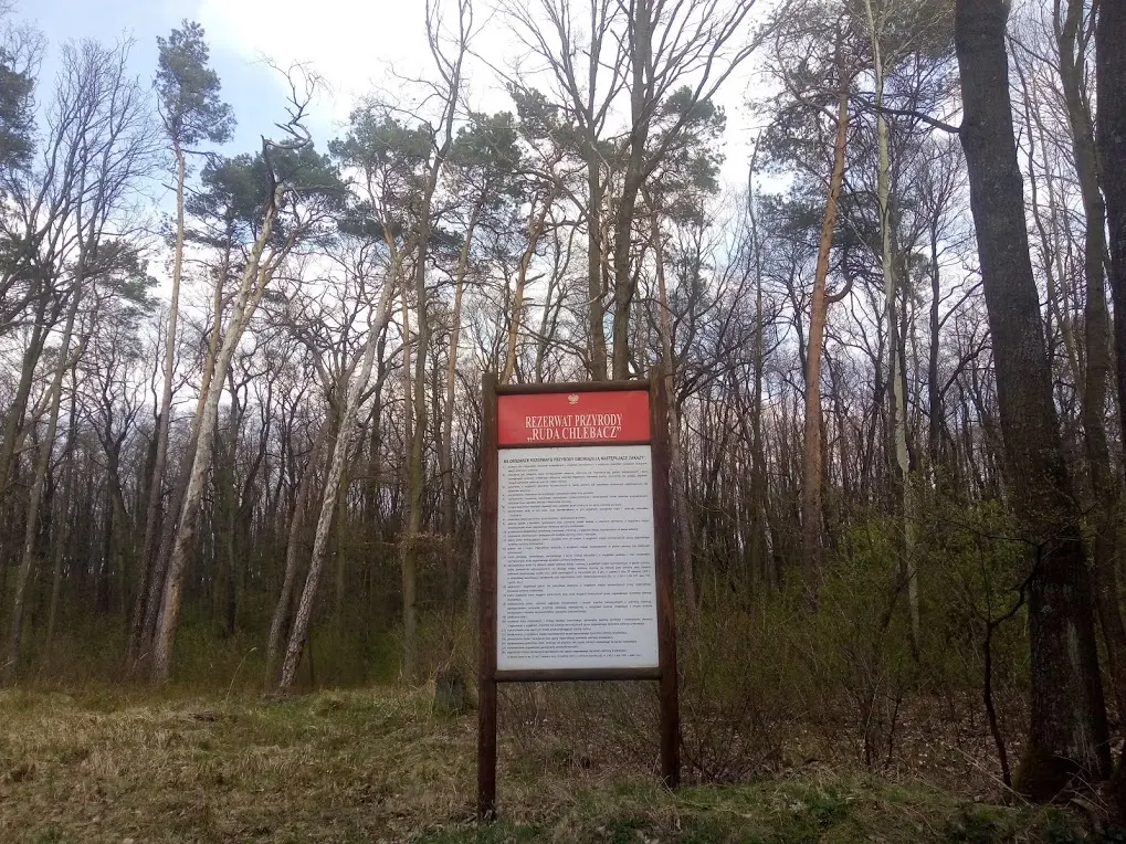 Rezerwat Ruda Chlebacz