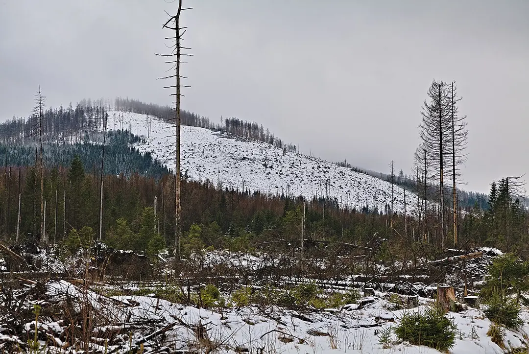 Großer Winterberg