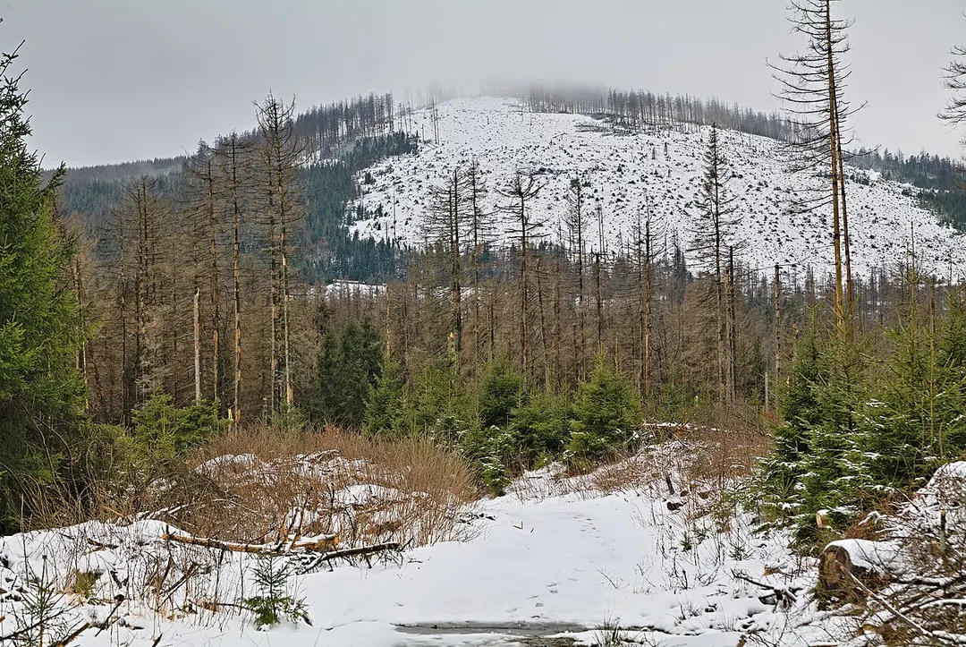 Großer Winterberg