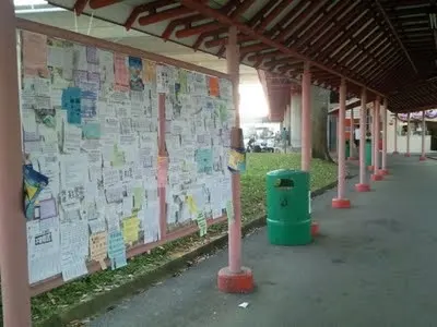 Woodlands