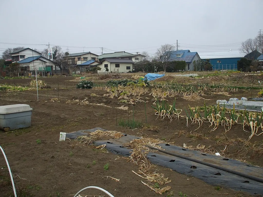 Kanzaki Site