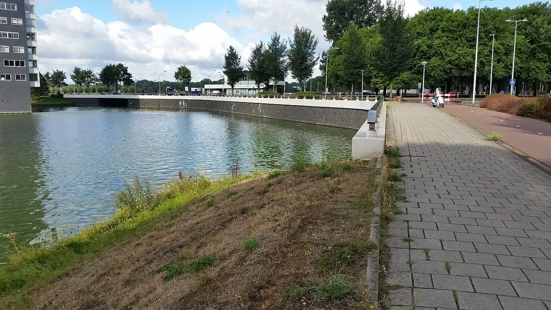 Conny van Rietschotenbrug