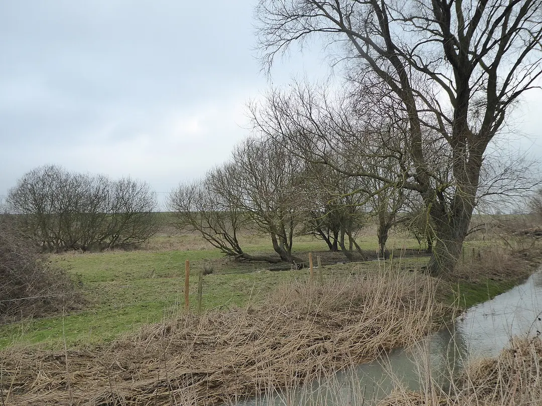 Harpers Brook