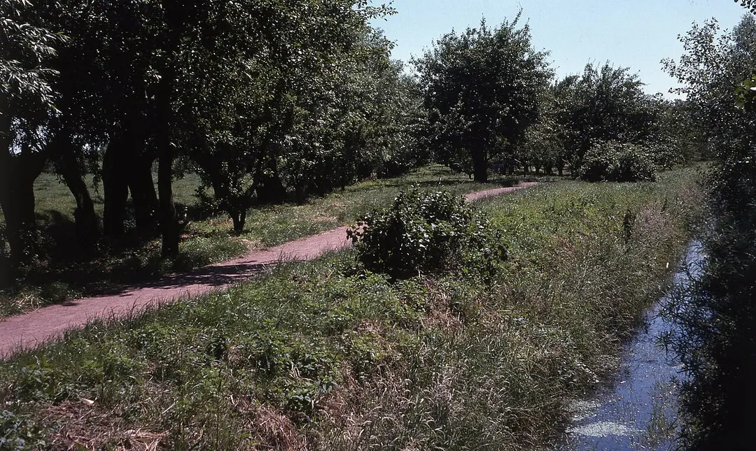 Park Spijkenisse Centrum