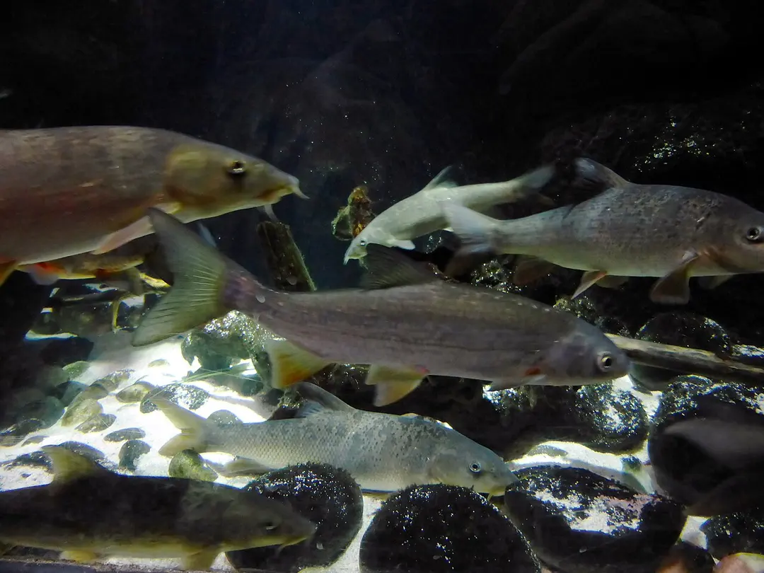 SeaLife München