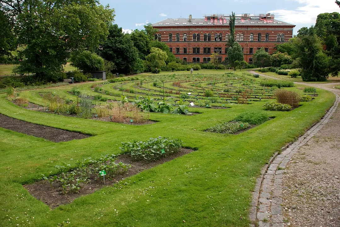 Botanischer Garten