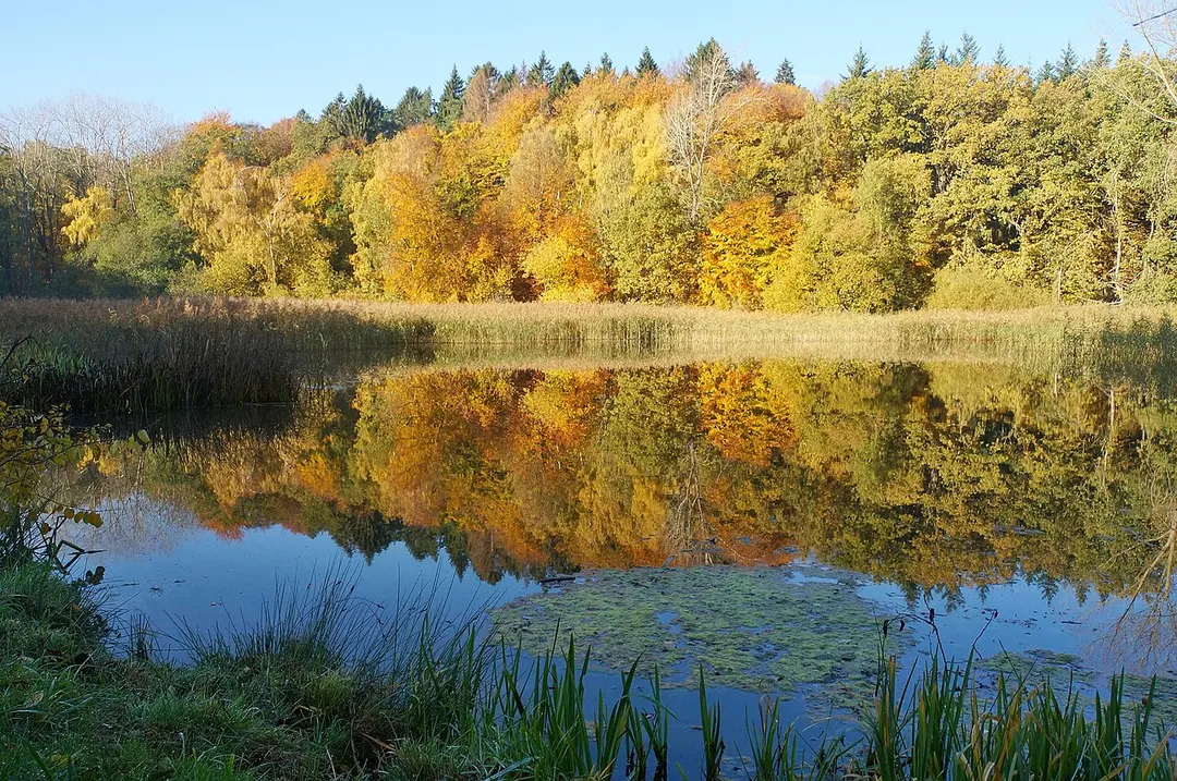 Hütter Klosterteiche
