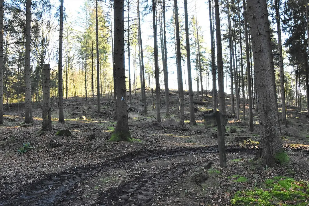 Heiligenberg