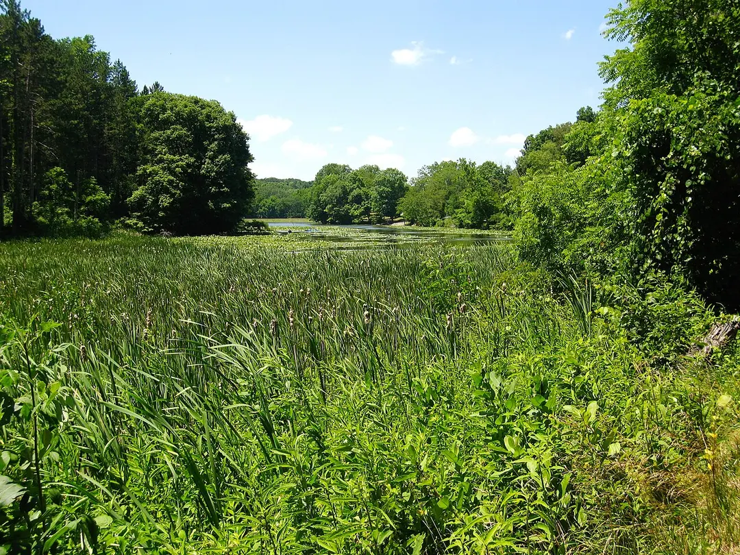 Blue Rock State Park
