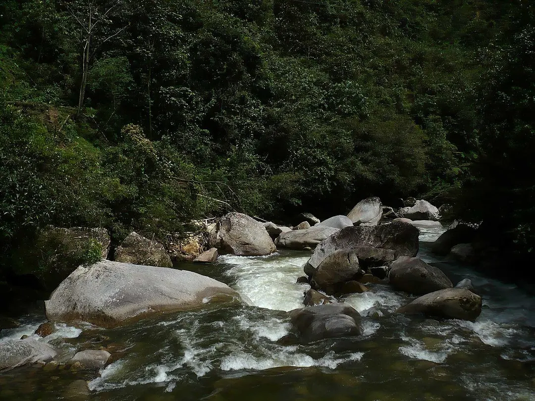 Bombuscaro River